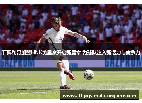 菲奥利奇加盟HNK戈里察开启新篇章 为球队注入新活力与竞争力