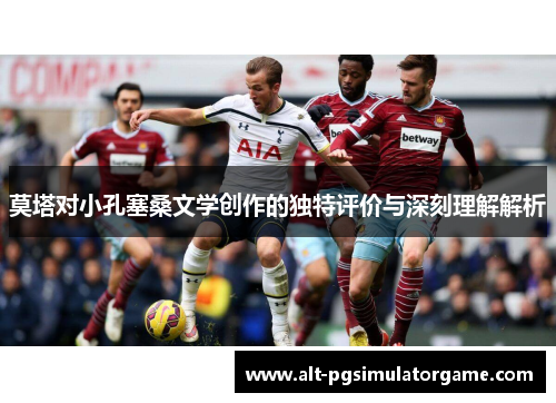 莫塔对小孔塞桑文学创作的独特评价与深刻理解解析