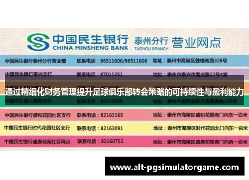 通过精细化财务管理提升足球俱乐部转会策略的可持续性与盈利能力